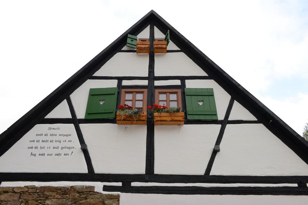 Apartment Grubenhaus20 Freiberg Zewnętrze zdjęcie