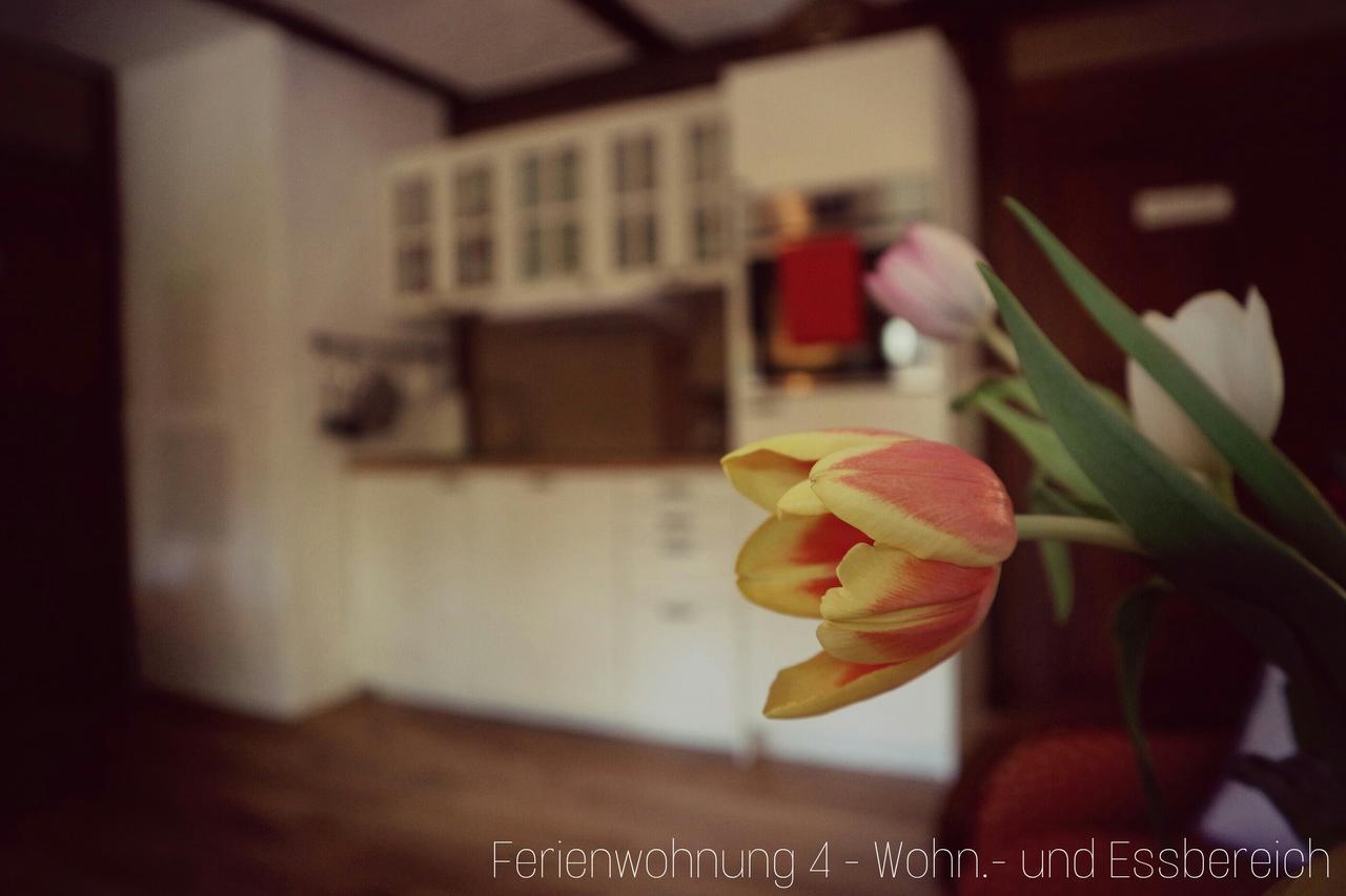 Apartment Grubenhaus20 Freiberg Zewnętrze zdjęcie